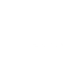 logotipo ert news