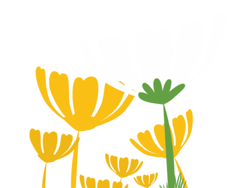 koa γραφικά προγράμματος